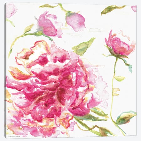 English Rose Canvas Print #KMK37} by Kamdon Kreations Canvas Art