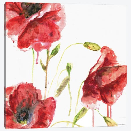 Poppies Canvas Print #KMK43} by Kamdon Kreations Canvas Artwork