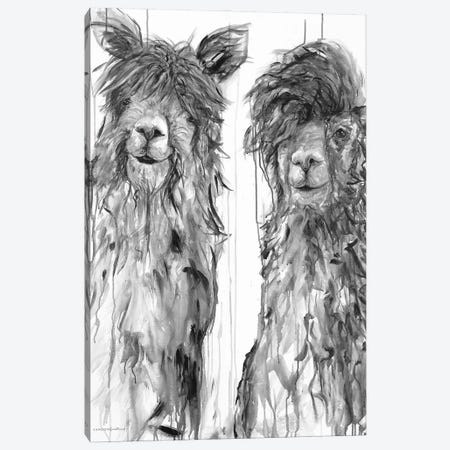 Alpaca A Comb Canvas Print #KMK58} by Kamdon Kreations Art Print