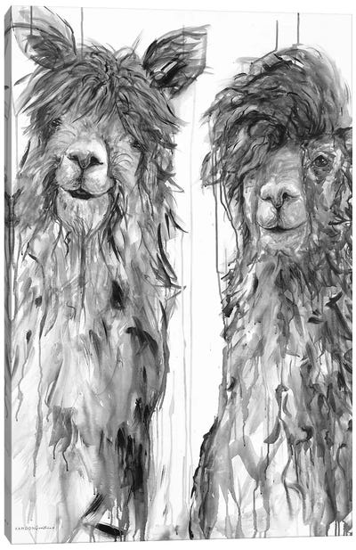 Alpaca A Comb Canvas Art Print - Kamdon Kreations