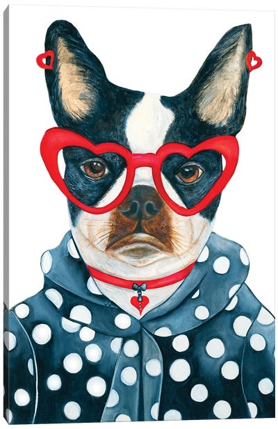 Miss Mary Puppins - The Hipster Animal Gang Canvas Art Print - Boston Terrier Art