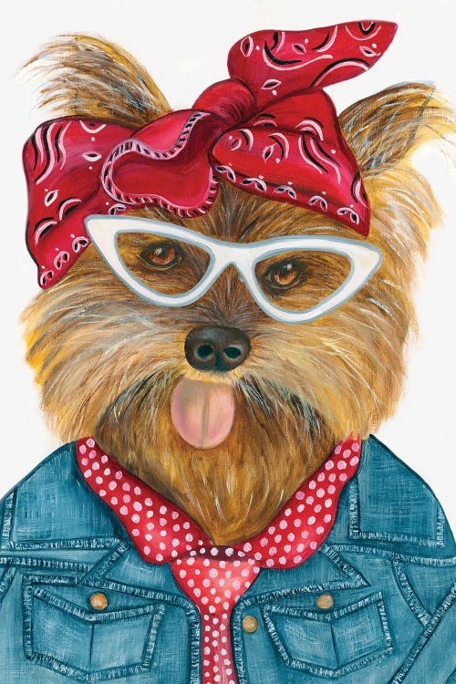 Missy Yorkie - The Hipster Animal Gang