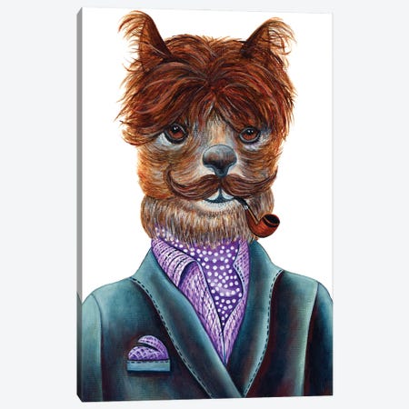 Mr. Alpachachino - The Hipster Animal Gang Canvas Print #KMM31} by k Madison Moore Canvas Print