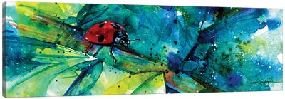 Ladybug I Canvas Art Print - Kathy Morton Stanion