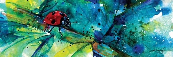 Ladybugs: Ladybug I by Kathy Morton Stanion