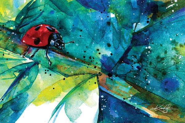 Ladybugs: Ladybug II by Kathy Morton Stanion