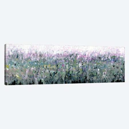 Misty Morning Meadow Canvas Print #KMS200} by Kathy Morton Stanion Canvas Artwork