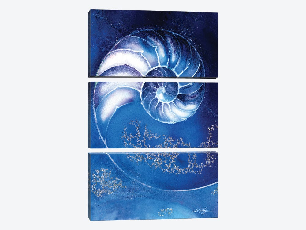 Nautilus Shell IIIA by Kathy Morton Stanion 3-piece Canvas Art
