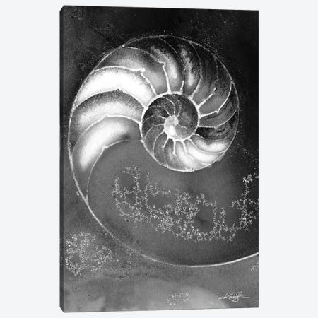 Nautilus Shell IIIB Canvas Print #KMS278} by Kathy Morton Stanion Art Print