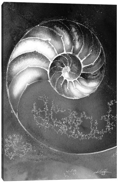 Nautilus Shell IIIB Canvas Art Print