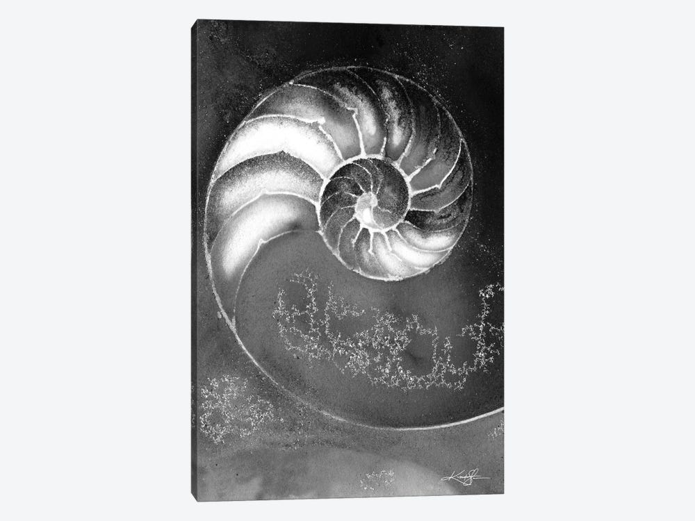 Nautilus Shell IIIB by Kathy Morton Stanion 1-piece Canvas Print