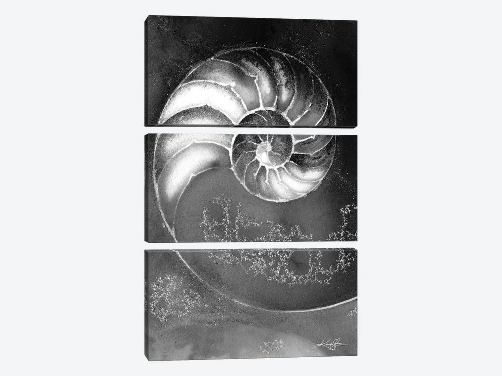 Nautilus Shell IIIB by Kathy Morton Stanion 3-piece Canvas Print