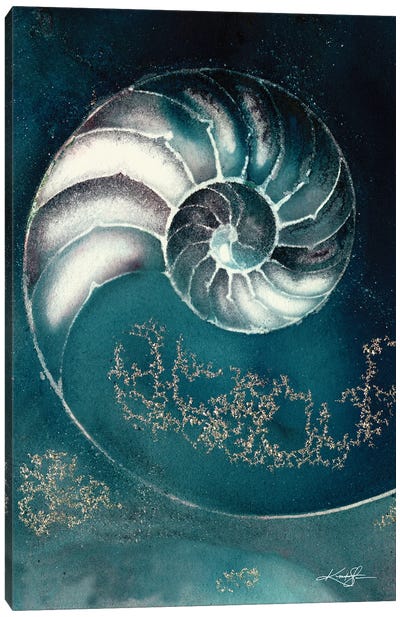Nautilus Shell IIIC Canvas Art Print