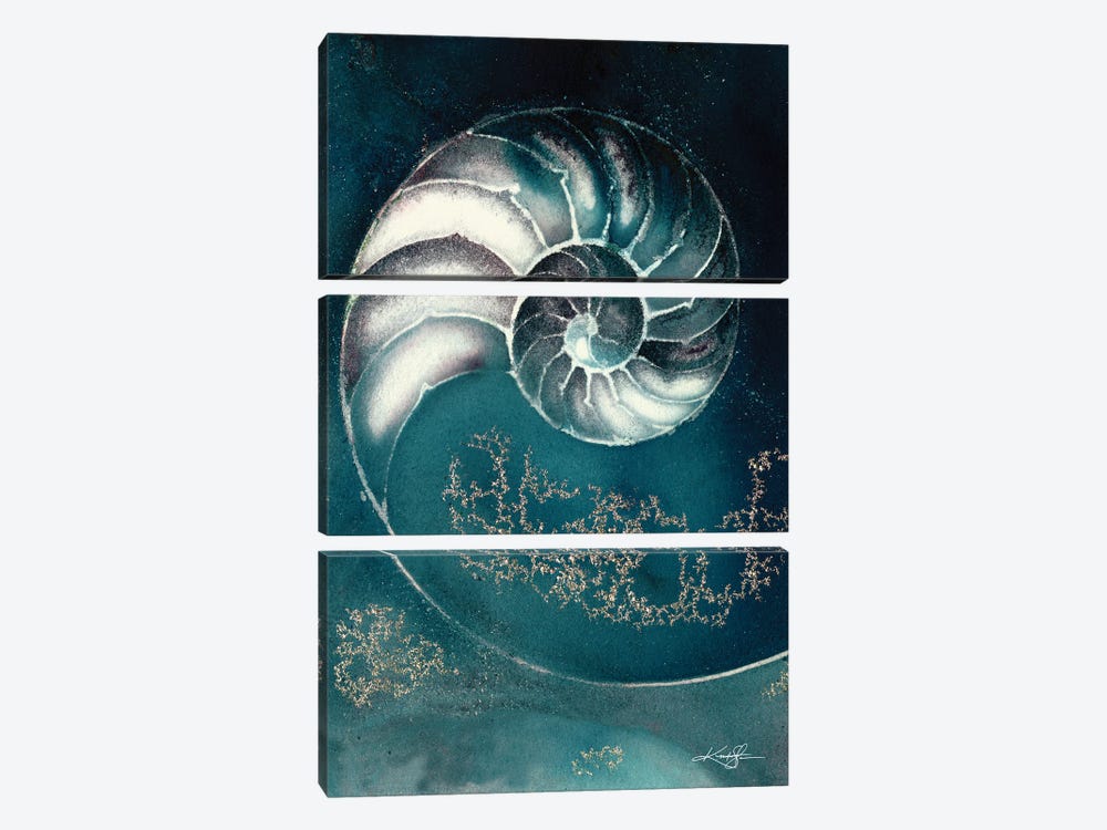 Nautilus Shell IIIC by Kathy Morton Stanion 3-piece Canvas Artwork