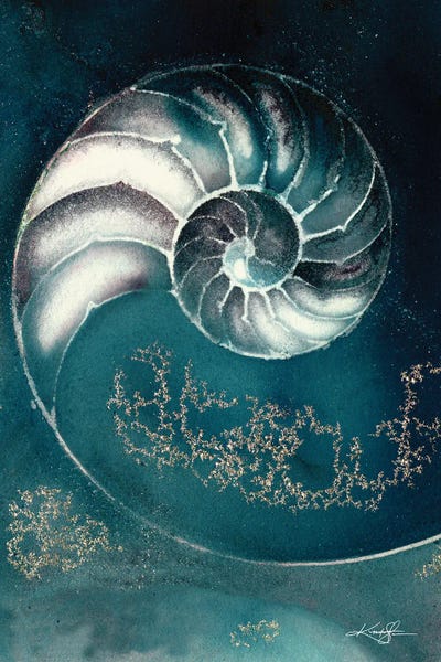 Nautiluses: Nautilus Shell IIIC by Kathy Morton Stanion