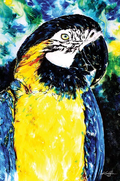 Parrots: Bubba by Kathy Morton Stanion