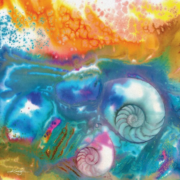 Sea Shells: Sea Jewels IV by Kathy Morton Stanion