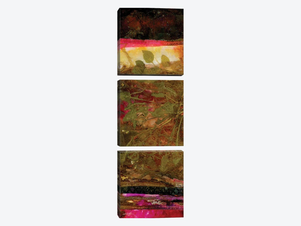 Nature's Abstraction II-II by Kathy Morton Stanion 3-piece Canvas Art
