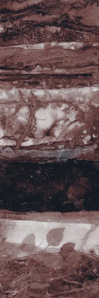 Kathy Morton Stanion: Nature's Abstraction II-III by Kathy Morton Stanion