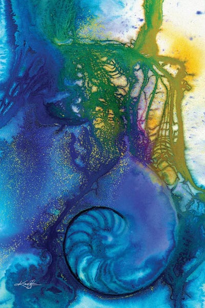 Sea Shells: Sea Jewels VI by Kathy Morton Stanion