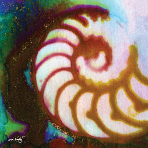 Sea Shells: Sea Jewels I by Kathy Morton Stanion