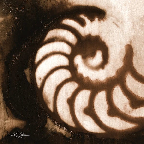 Natural Elements: Sea Jewels I-IV by Kathy Morton Stanion