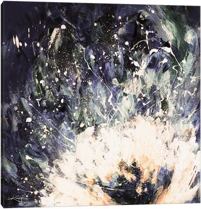 Mystic Bloom I-III Canvas Art Print - Kathy Morton Stanion