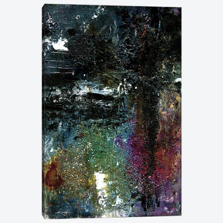 Whispers In The Dark Canvas Print #KMS571} by Kathy Morton Stanion Canvas Wall Art