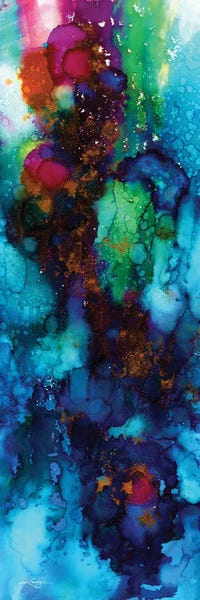 A Mystic Encounter XVII