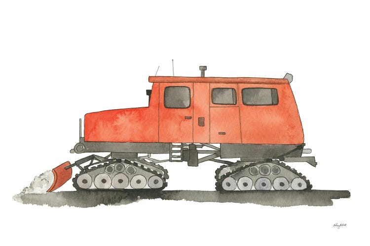 Snow Cat by Kelsey McNatt wall art