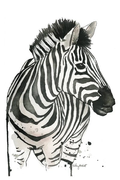 Zebra Canvas Print by Kelsey McNatt iCanvas