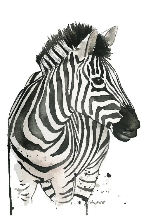 Zebra by Kelsey McNatt wall art