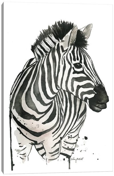 Zebra Canvas Art Print - Kelsey McNatt