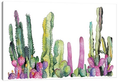 Cactus Fields Canvas Art Print - Cactus Art