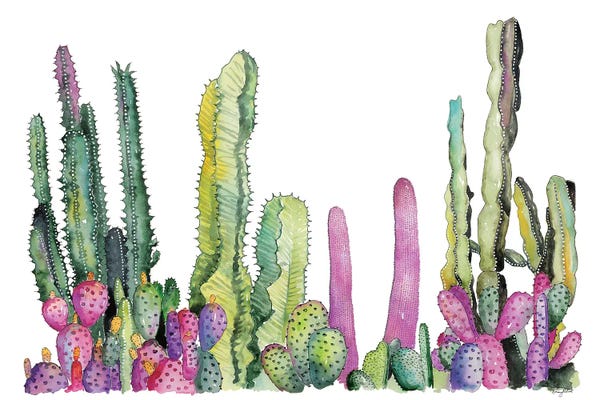 Succulents: Cactus Fields by Kelsey McNatt