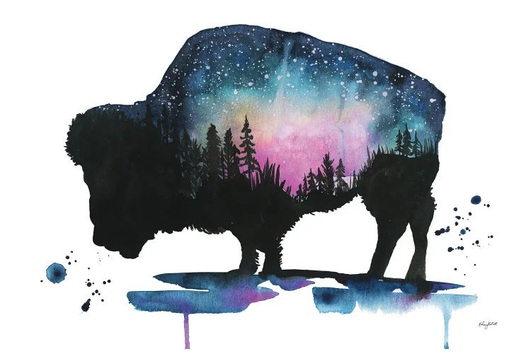 Galaxy Bison by Kelsey McNatt wall art