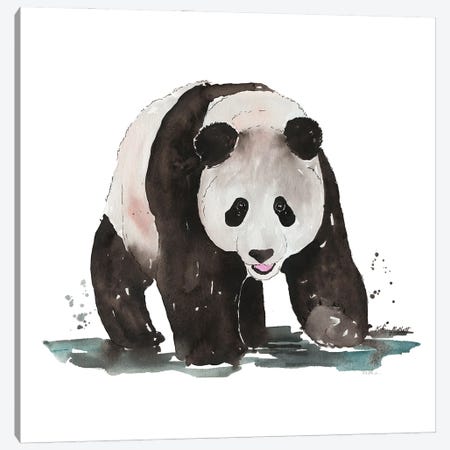 Giant Panda Canvas Print #KMT68} by Kelsey McNatt Canvas Art Print