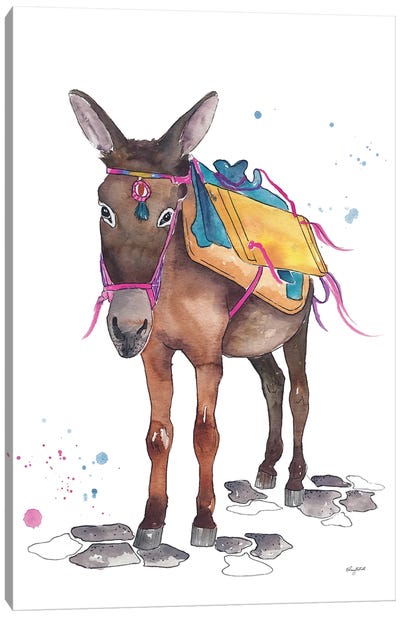 Greecian Donkey Canvas Art Print - Donkey Art