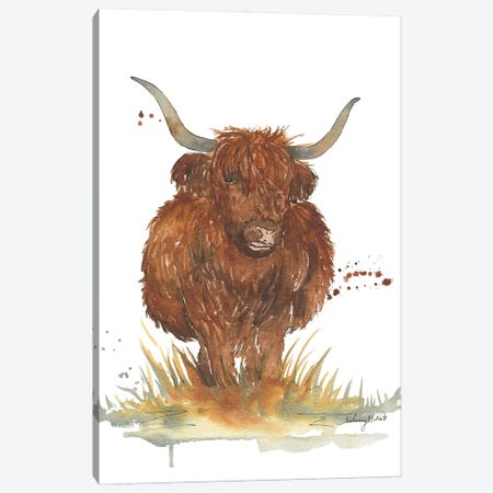 Highland Cow Canvas Print #KMT75} by Kelsey McNatt Canvas Print