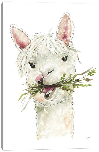 Llama Canvas Art Print - Kelsey McNatt