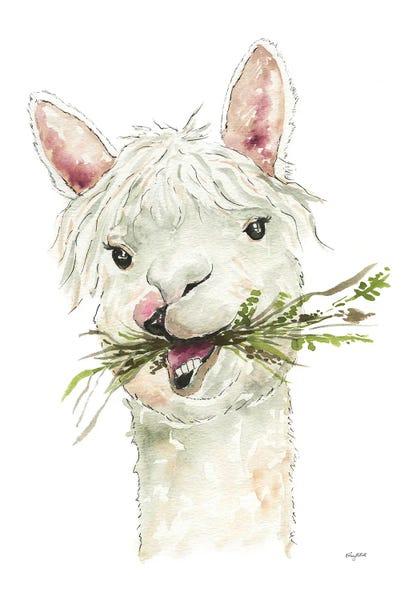 Llamas: Llama by Kelsey McNatt