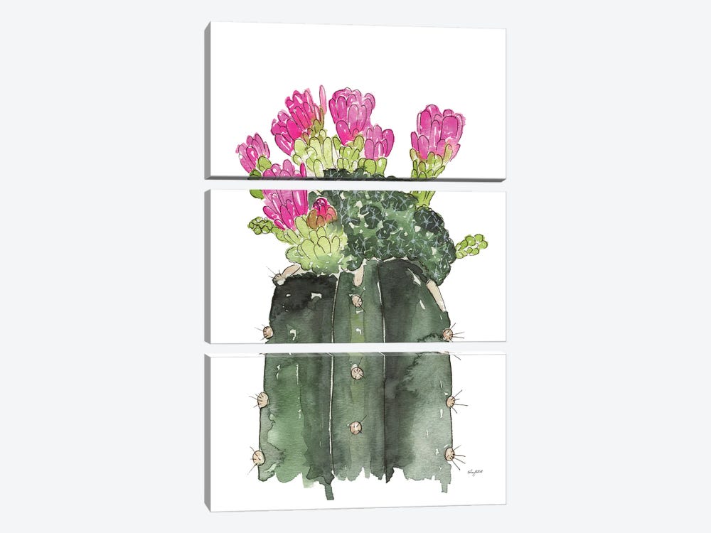 Blooming Cactus by Kelsey McNatt 3-piece Canvas Art Print