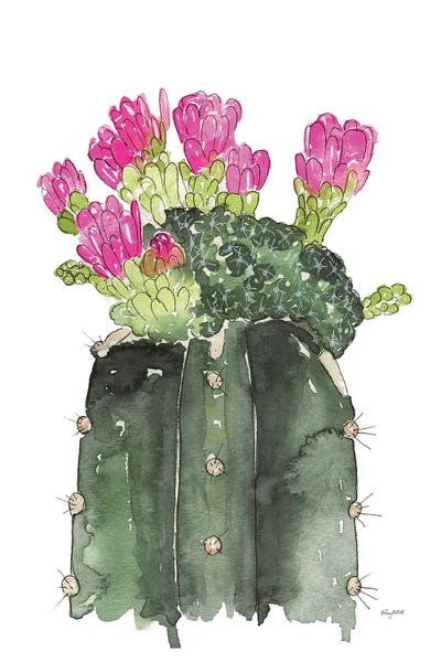 Cacti: Blooming Cactus by Kelsey McNatt