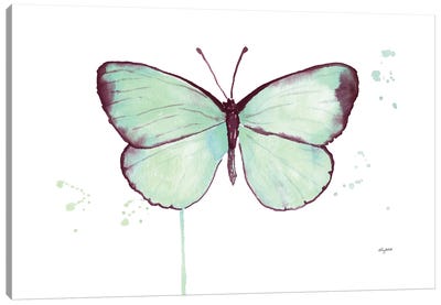Mint Butterfly Canvas Art Print - Kelsey McNatt