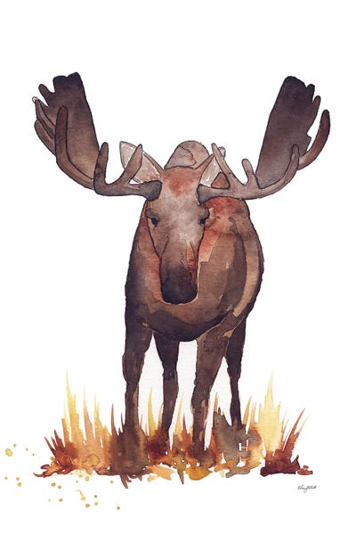 Kelsey McNatt: Moose by Kelsey McNatt