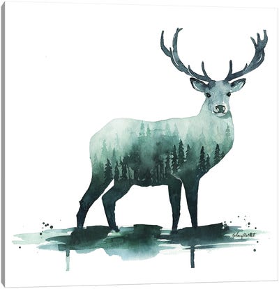 Nature Deer Canvas Art Print - Kelsey McNatt