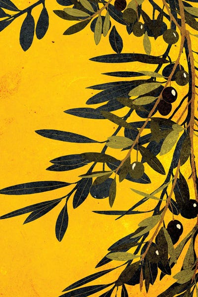 Olive Branches