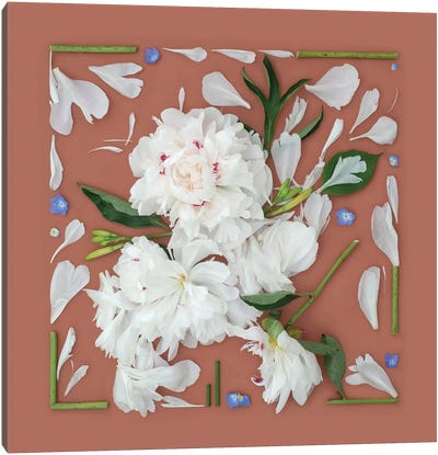 Bloom And Grow Canvas Art Print - Kristen Meyer
