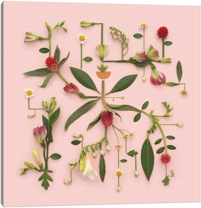 Botanicals Canvas Art Print - Artful Arrangements
