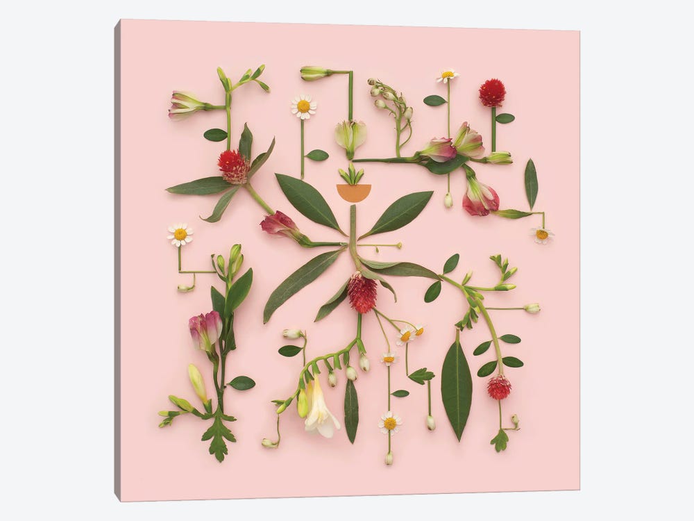 Botanicals by Kristen Meyer 1-piece Canvas Print